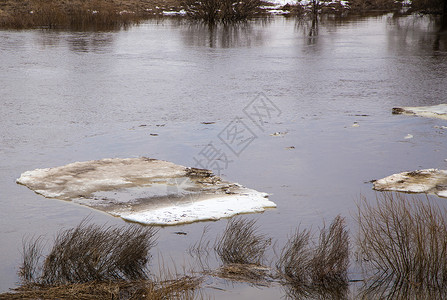 河上肮脏的冰雪浮在水面上 春天 雪融化高清图片