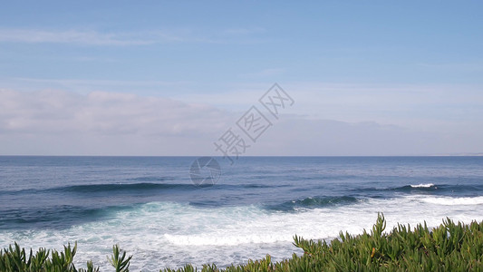 海浪在加州海滩 海水表面 倾斜的植物上撞击着海浪高清图片