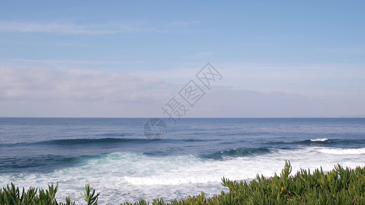 海滩上植被海浪在加州海滩 海水表面 倾斜的植物上撞击着海浪背景