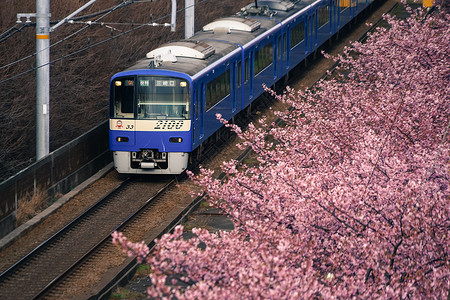 贵志川线和Keikyu线(米乌拉海岸)背景