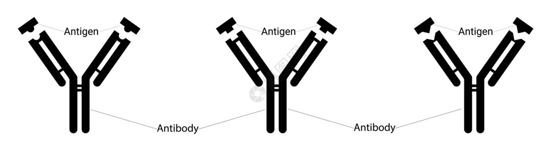 抗原抗体不同类型的抗原和不同类型的抗体 人体免疫力 对抗病毒 表位和互补位插画