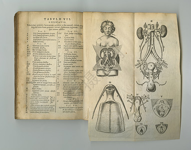 医学日记 一本旧解剖书 页码在展出背景图片