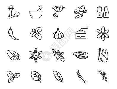 藏红花背景用于自然健康的草药和香料概述了用于 web 和 ui 设计的平面图标 草药和香料轮廓矢量图标集隔离在白色背景 现代药剂师概念插画