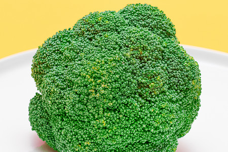 新鲜和的宏一集     近身 未烹调的绿色卷心菜背景图片