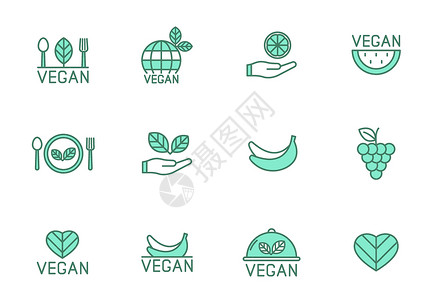 青岛纯生两种颜色的纯素食线性矢量图标在白色上被隔离 为网页设计 ui 移动应用程序和打印设置的素食食品绿色图标插画