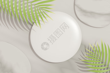 绿色简约圆圈植物3d 将白色空白圆筒框的顶部视图用于模拟和显示棕榈叶和Forca树叶阴影的产品 创意概念 绿色自然背景木板推介会化妆品圆圈植物苗背景