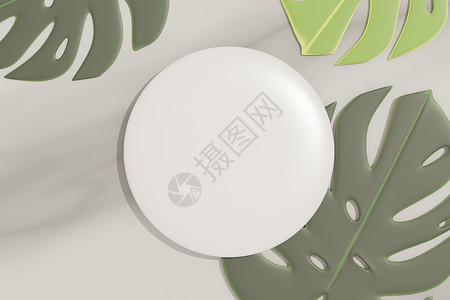 绿色简约圆圈植物3d 将白色空白圆筒框的顶部视图用于模拟和显示棕榈叶和Forca树叶阴影的产品 创意概念 绿色自然背景圆柱装饰圆圈品牌苗圃植物画背景
