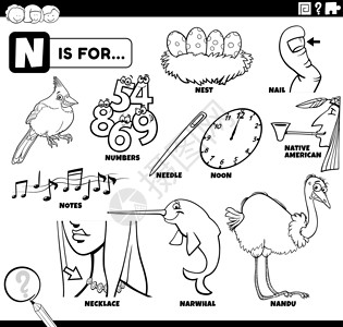 美洲动物教育性的彩色设置书页 n 字卡通片教育孩子们工作簿彩书填色本绘画染色工作动物设计图片
