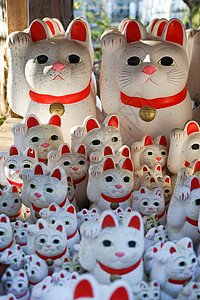 邀请猫 东京 上岛 的图片陶器陷阱配饰娃娃风格财富十二生肖文化动物邀请函背景图片