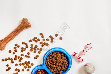 猫球碗中的干宠物食物 白色背景顶视面上有球和狗骨背景