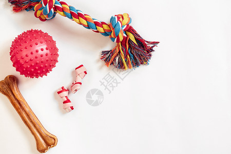 狗玩具组 多彩色棉花狗玩具和白色背景的粉红色球运动玩物商店小狗产品游戏店铺橡皮小猫犬类背景图片