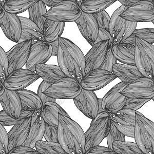 黑色和白色的花卉矢量背景 用于纺织品设计的线性百合花线无缝图案 矢量无缝黑白花卉图案绘画卡片模版树叶打印紫荆花热带植物花瓣漩涡背景图片