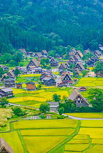 白川市(高山市 大富县)高清图片