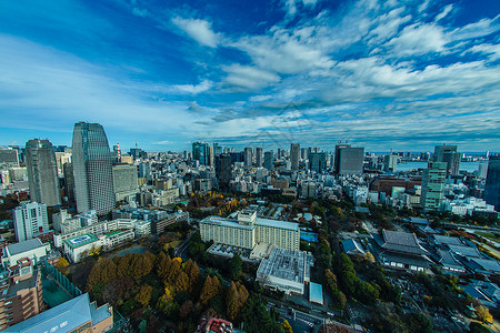 来自东京市的东京天台视图街景旅行天文台天空观光商业蓝天夜景旅游建筑群背景图片