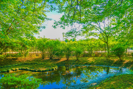 玉川呼吸河绿色道路公园太川市公园河流溪流绿色背景