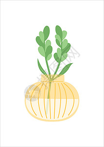 花瓶中的花朵 简单的平板设计矢量季节植物礼物平面植物群玻璃装饰风格花束插图背景图片