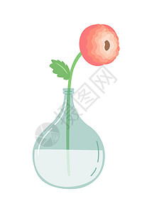 花瓶中的花朵 简单的平板设计矢量玻璃平面花束植物群植物插图装饰礼物季节风格背景图片