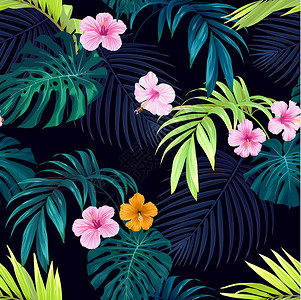 深色植物丛林无缝手牵引热带矢量模式 有明亮的象皮花和深色背景的外来棕榈叶丛林植物木槿树叶叶子墙纸织物异国紫色插图插画