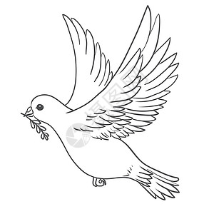 叼着枝条的鸽子在嘴上流着橄榄枝的和平鸽子 飞翔 手伸出来朋友们多样性友谊信仰移民男人旅行叶子卡片世界插画