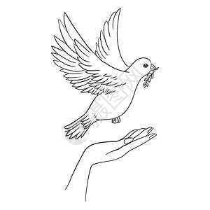 和平友谊在嘴上流着橄榄枝的和平鸽子 飞翔 手伸出来友谊男人卡片朋友们多样性跨国会议信仰乐趣动物插画
