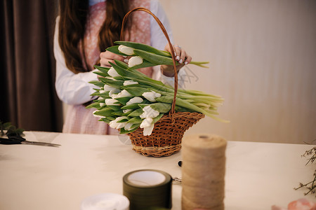 弗洛里斯礼物商业高清图片