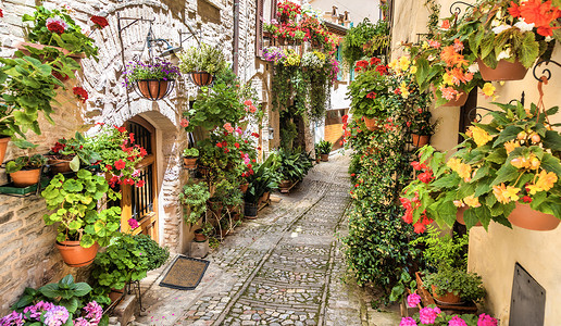 翁布里亚镇意大利安布里亚地区Spello村古老街道上的鲜花历史旅行建筑植物石头拼写街道房子窗户花园背景