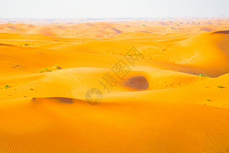 阿拉伯沙漠图像烘干沙丘形象沉淀沙漠背景图片