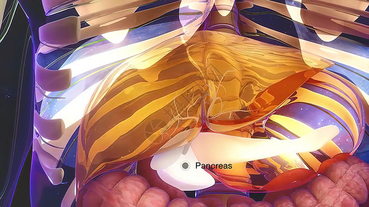 人类内部消化器官活体解解剖动动动概念外科细胞肝硬化药品渲染3d治疗身体科学信息背景图片
