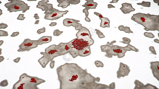 詹森微生物组乳酸菌高清图片