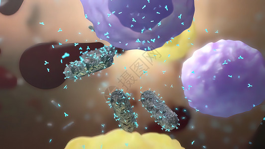 伪细菌白喉 对抗抗体科学病理杆状实验宏观毒素臭虫微生物学药品显微镜背景