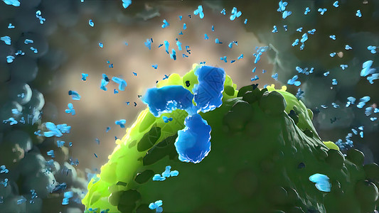 免疫球蛋白属于我们免疫系统一部分的抗体肝炎微生物学传染流感技术细胞病毒性传染性抗原疾病背景