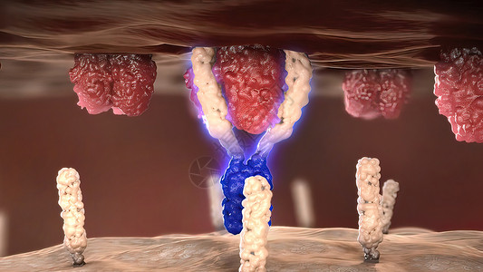 防癌细胞的抗体受体 防止癌症细胞微生物药品结构代谢细胞核胰岛素医疗癌细胞受精卵葡萄糖背景图片