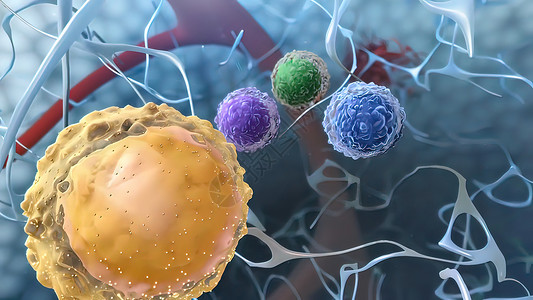 免疫系统中的有用细胞渲染静脉微生物学科学显微镜盘子癌症药品划分疾病背景图片