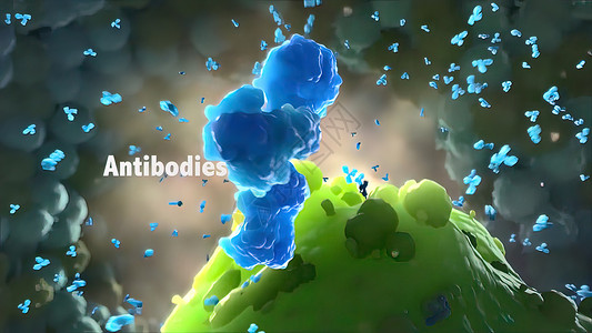 肝炎病毒属于我们免疫系统一部分的抗体疫苗抗原细胞疾病病原传染性微生物学发烧免疫学流感背景