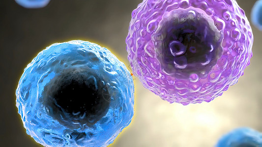 免疫机制B细胞和T细胞受体对抗原的识别结构疾病红细胞科学胰岛素插图免疫分子细胞核倍率背景
