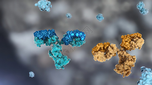 典型的抗体分子结构 反体和氨基酸药品免疫学酶标聚合物技术疫苗化学单抗细菌多肽背景图片