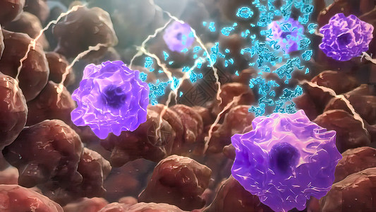 攻击肿瘤细胞的抗体科学受精卵图形分子细胞核蜡笔医疗专注免疫系统疾病背景图片