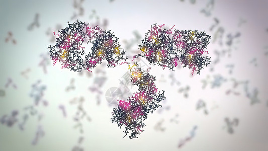 典型的抗体分子结构 反体和氨基酸生物学疫苗单抗氨基聚合物细菌免疫学宏观药品生物背景图片