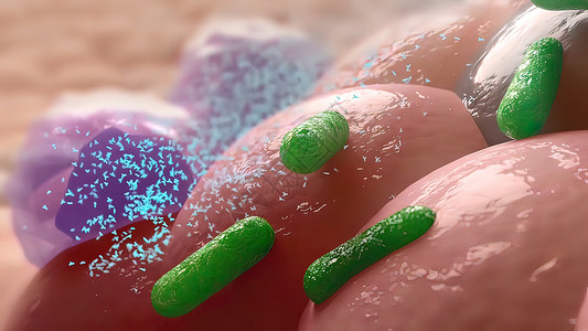 棒状细菌白喉 对抗抗体疾病微生物科学微生物学细胞生物感染臭虫伪膜毒素背景