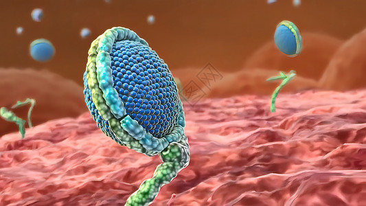 细胞核心及其内部结构单元核心和内部结构保健微生物抗体图形人体科学细菌棕褐色动脉硬化专注背景
