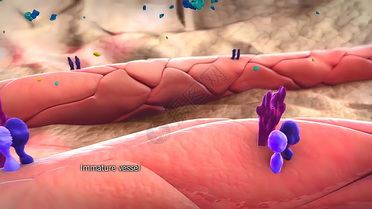 人体p图素材3D医疗图解 三维分立体细胞 空间孤立的缩缩式细胞Pericytes螺旋血流图形代谢计算机身体医学疾病血管世界背景