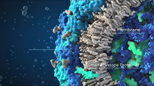 3D 黑背景单元格和内部结构的3D插图微生物学细胞核白细胞动脉硬化细菌受精卵药品保健动脉粥样硬化核子背景图片