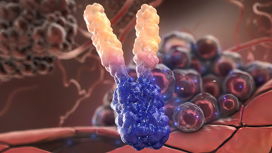 免疫机制攻击肿瘤细胞的抗体机制计算机分子保健形状专注图形结构蜡笔病原背景