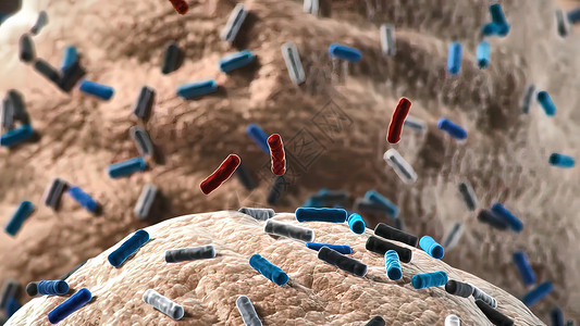 不同形状的细菌 杆状细菌和球菌 人体微生物组 人体致病菌球形抗原药品蓝色抗体大肠杆菌细胞生物插图生物学背景图片