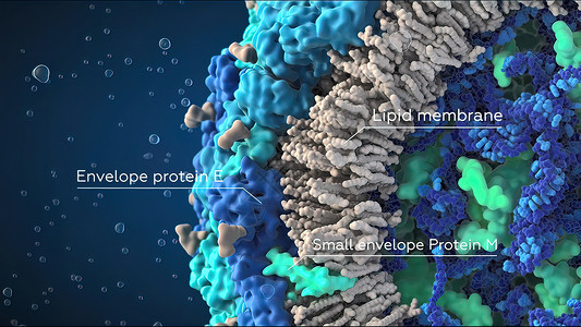 3D 黑背景单元格和内部结构的3D插图计算机细胞动脉硬化分子抗体核子细胞质绘图专注保健背景图片