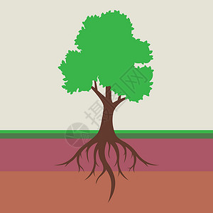 烂树根有树叶树根系统插画