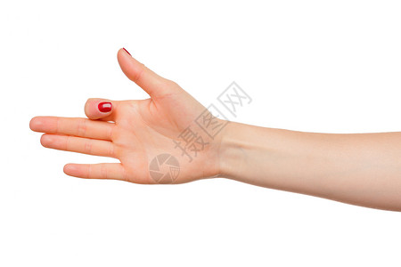 美丽的女性手牌 在白色背景上与世隔绝美甲商业拇指身体手臂测量尺寸棕榈成人拳头背景图片