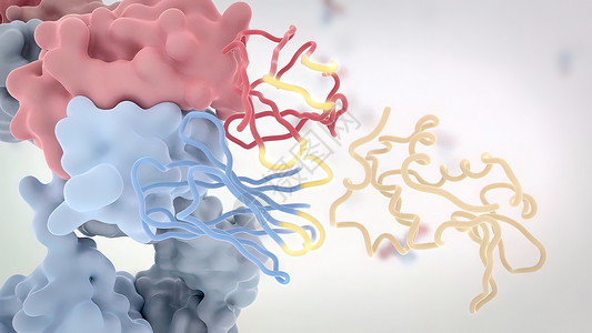 典型的抗体分子结构 反体和氨基酸生物抗原表位多肽原子细菌免疫学技术化学宏观背景图片