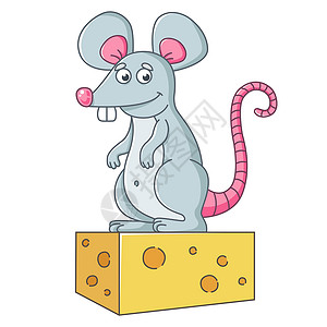 一只大灰鼠站在一块奶酪上 一个吃得饱的老鼠设计图片