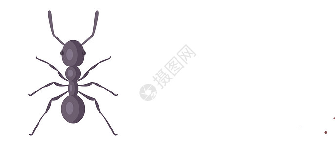 埃普尼尔米特白色背景上的黑色强烈蚂蚁插画